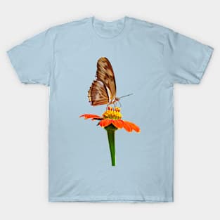 Julia Butterfly on Zinnia T-Shirt